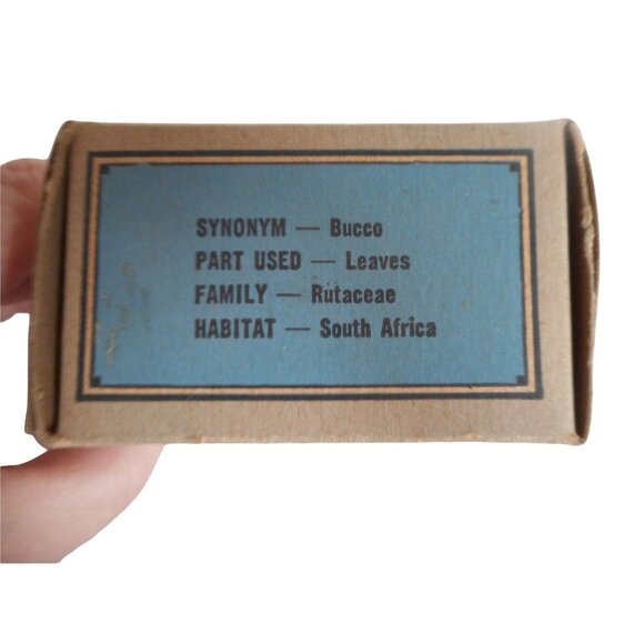 NOS Antique 1900's Buchu Leaves Herb 1oz Crude Drugs Quack Medicine Penick & Co - Picture 6 of 7